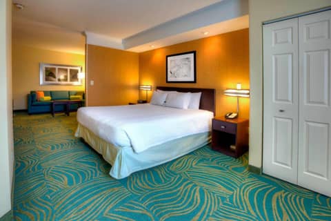 SpringHill Suites by Marriott - Tampa Brandon — hotel room