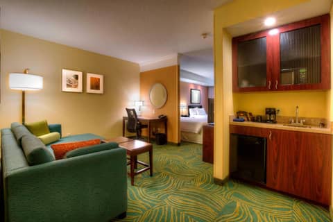 SpringHill Suites by Marriott - Tampa Brandon — hotel room
