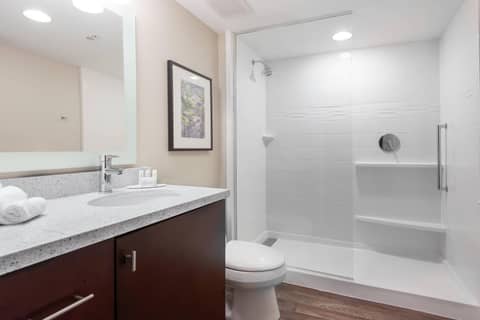 TownePlace Suites by Marriott Austin Parmer/Tech Ridge — photo 8