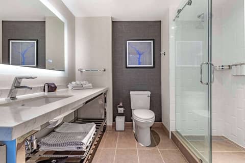 Cambria Hotel Washington D.C. Navy Yard Riverfront — photo 5