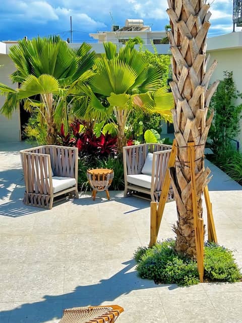 Bali Hotel Adults Only Isla Verde a Trademark by Wyndham — photo 6