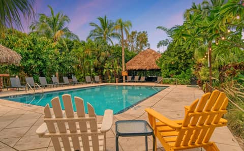 Siesta Key Palms Resort — photo 5