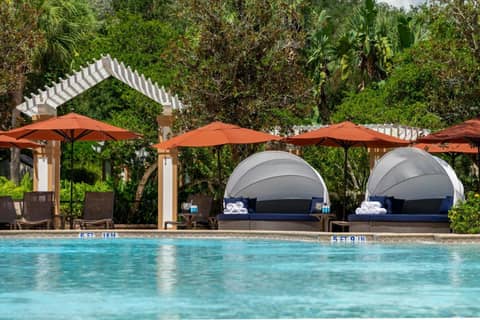 Renaissance Orlando at SeaWorld® — photo 7
