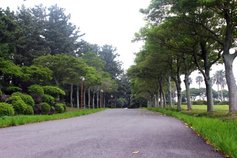 Seogwipo KAL Hotel — photo 8