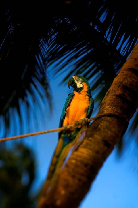 Hyatt Centric Key West Resort & Spa — other
