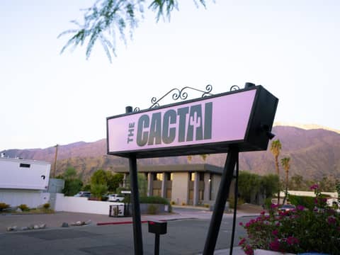 The Cactai — other