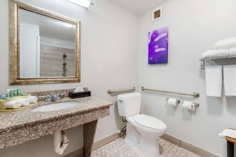 Best Western Medical Center North Inn & Suites Near Six Flags — photo 3