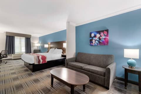 Best Western Medical Center North Inn & Suites Near Six Flags — photo 9