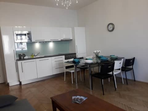 Old Town spacious apartment — photo 9