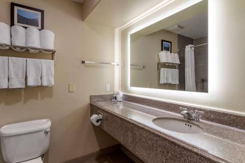 Comfort Suites Houston near Medical Center- NRG Stadium — photo 7