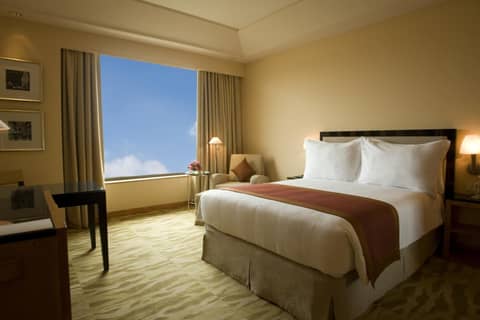 The Grand New Delhi — photo 4
