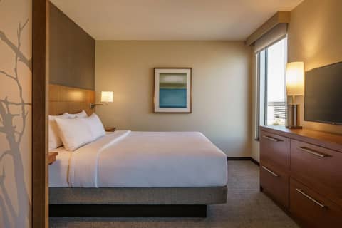 Hyatt Place Houston Galleria — photo 5