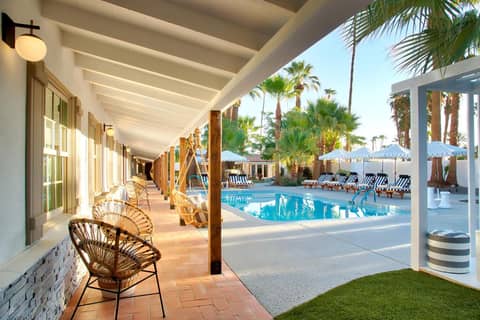 Dive Palm Springs Hotel - 21 & Over — recepcion & lobby