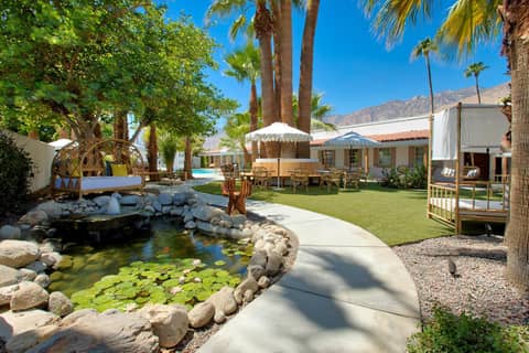 Dive Palm Springs Hotel - 21 & Over — activities & amenities