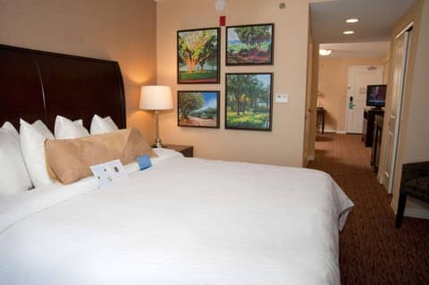 Hilton Garden Inn St. Louis Airport — photo 2