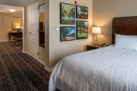 Hilton Garden Inn St. Louis Airport — photo 4