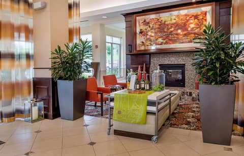 Hilton Garden Inn St. Louis Airport — photo 7