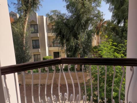Golden Rose Hotel — photo 8