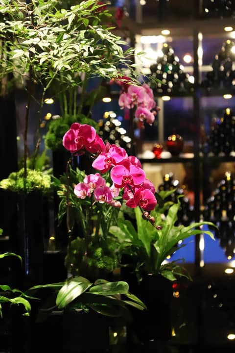 Renaissance Beijing Capital Hotel — recepcion & lobby