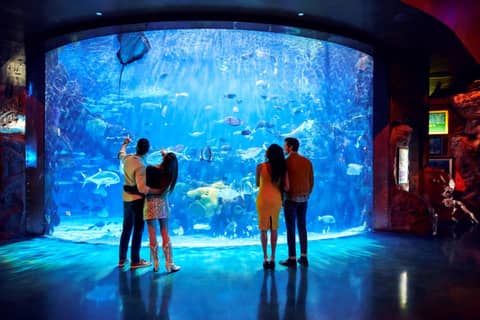 Silverton Casino Lodge — photo 8
