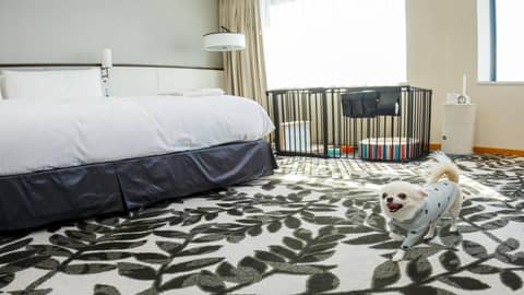 ANA Crowne Plaza Hotel Grand Court Nagoya by IHG — photo 2