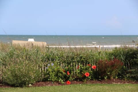 Jade Tree Cove — photo 4