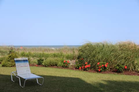 Jade Tree Cove — photo 6