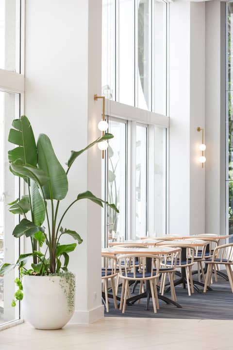 RACV Royal Pines Resort Gold Coast — photo 6