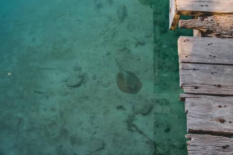 Sotavento Hotel & Yacht Club — photo 3