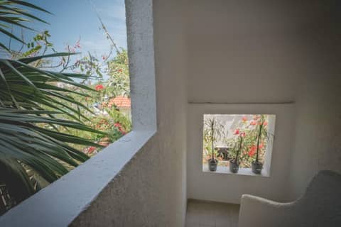 Sotavento Hotel & Yacht Club — photo 5