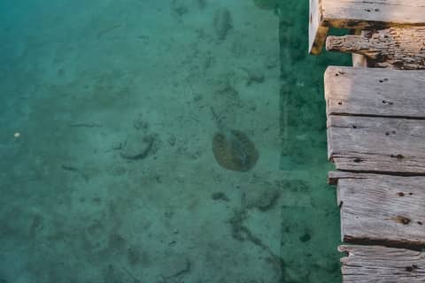 Sotavento Hotel & Yacht Club — photo 5
