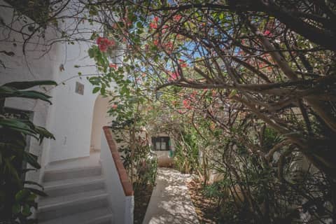 Sotavento Hotel & Yacht Club — photo 9