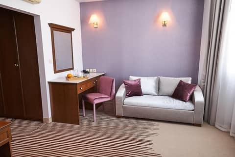 Hotel Lion Sofia — photo 7