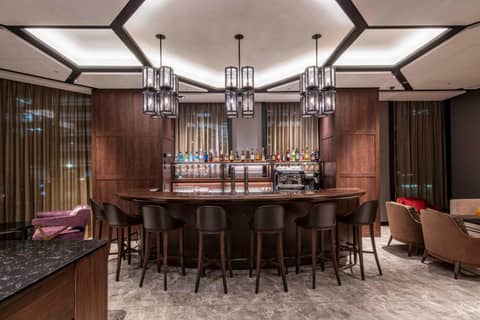 Hotel GrandBach Tokyo Ginza — lounge