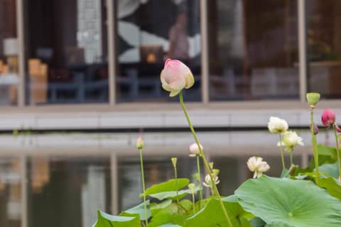West Lake State Guest House — photo 8