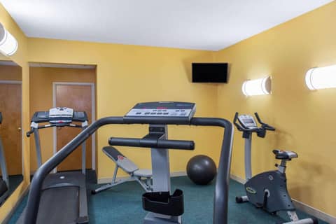 La Quinta by Wyndham Sarasota Downtown — activities & amenities