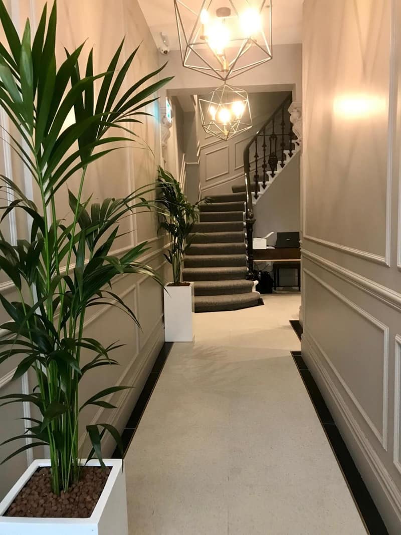 Oxford Hotel — recepcion & lobby