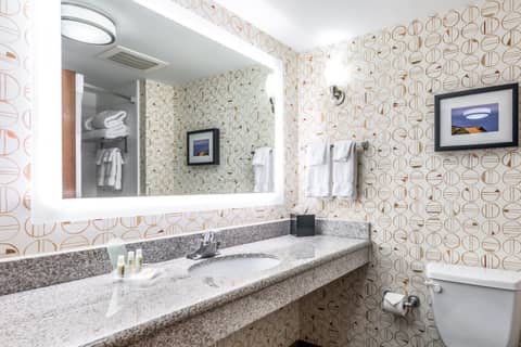 Holiday Inn - Indianapolis Downtown by IHG — bathroom