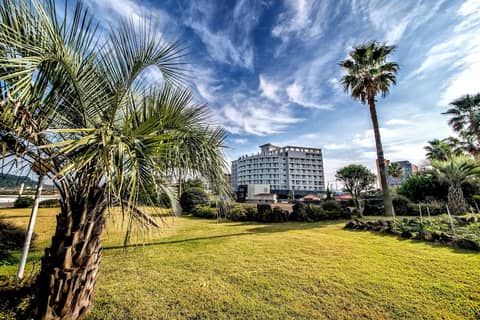 Aimi Jeju Beach Hotel Hamdeok W — photo 6