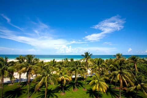 Beacon South Beach Hotel — photo 5