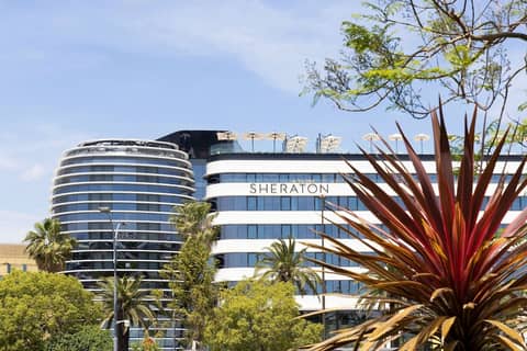 Sheraton Nice — photo 3