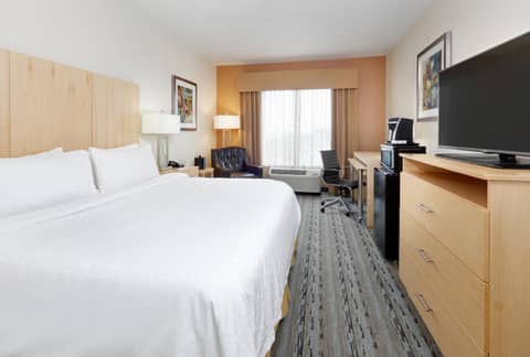 Holiday Inn Express & Suites San Antonio - Brooks City Base by IHG — photo 5