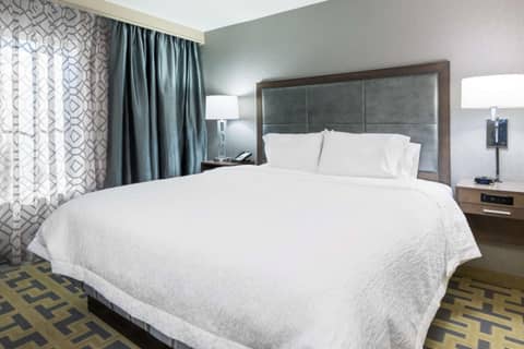 Hampton Inn & Suites Tampa Airport Avion Park Westshore — photo 7