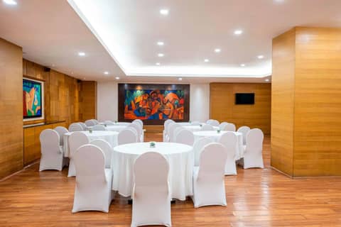 Svelte Delhi a member of Radisson Individuals — meeting & event spaces