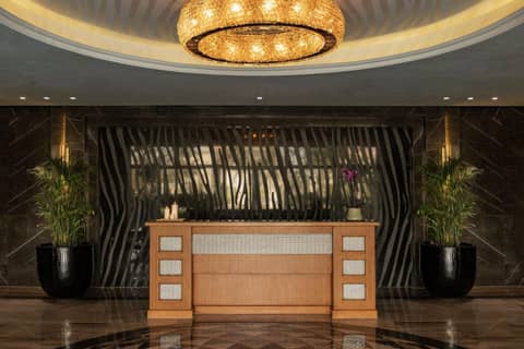 The St. Regis New Capital Cairo — photo 8