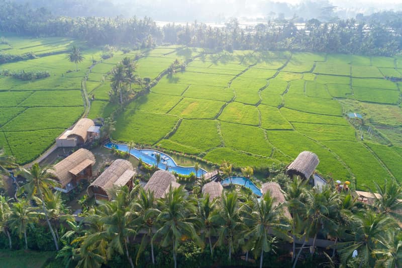 Beehouse Dijiwa Ubud — building