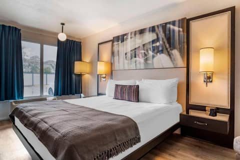 Heights House Hotel - Houston Heights Downtown, an Ascend Collection Hotel — photo 5