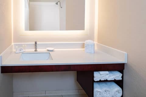 SpringHill Suites Houston Medical Center / NRG Park — photo 4