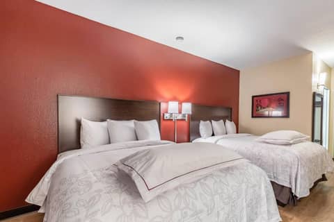 Red Roof Inn PLUS & Suites Houston - IAH Airport SW — hotel room