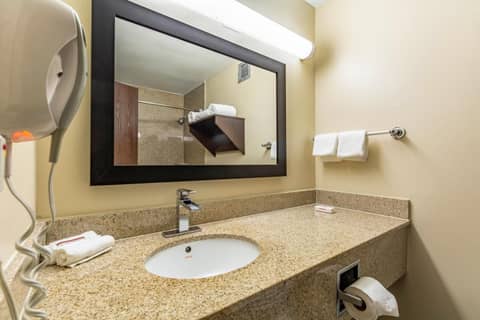 Red Roof Inn PLUS & Suites Houston - IAH Airport SW — bathroom